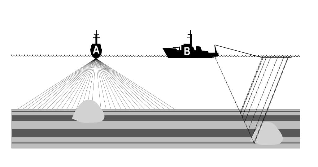 Cold-water Corals (Cambridge University Press) © 2009 JM Roberts, A Wheeler, A Freiwald and S Cairns Figure downloaded from www.lophelia.org/cold-water-corals-book