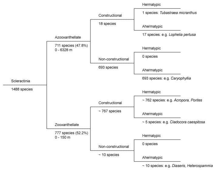 Cold-water Corals (Cambridge University Press) © 2009 JM Roberts, A Wheeler, A Freiwald and S Cairns Figure downloaded from www.lophelia.org/cold-water-corals-book