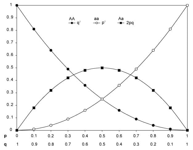 Cold-water Corals (Cambridge University Press) © 2009 JM Roberts, A Wheeler, A Freiwald and S Cairns Figure downloaded from www.lophelia.org/cold-water-corals-book