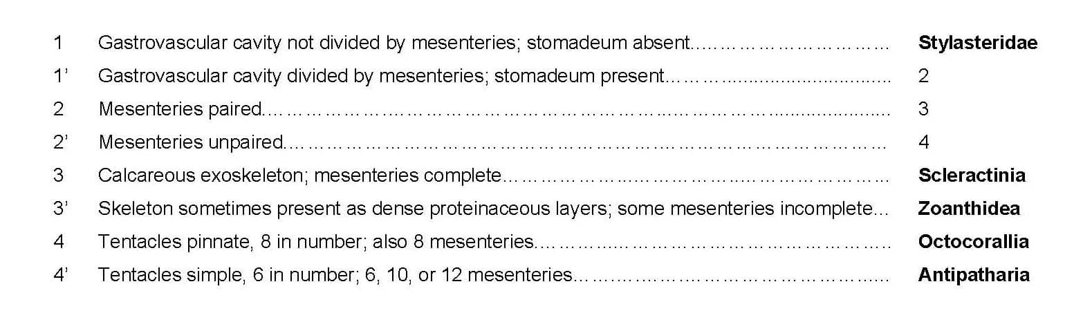 Cold-water Corals (Cambridge University Press) © 2009 JM Roberts, A Wheeler, A Freiwald and S Cairns Figure downloaded from www.lophelia.org/cold-water-corals-book