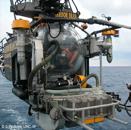 Johnson Sea Link Submersible © S.W. Ross (2005)