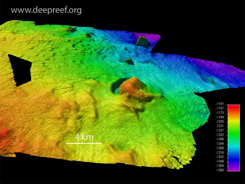 Gloria Knolls - 3D view of the cluster of eight 100 metre high knolls. © www.deepreef.org