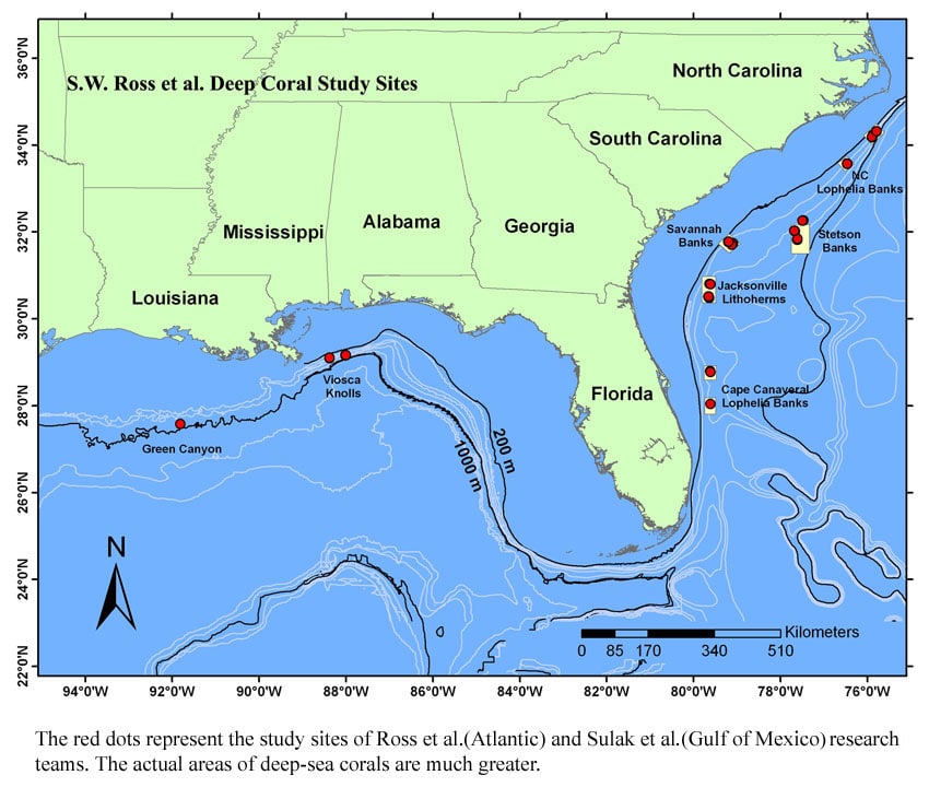 Map of deep-water coral locations and study sites, the red dots represent the study sites of Ross et al (Atlantic) and Sulak et al (Gulf of Mexico), the actual area of coral is much larger. S.W. Ross et al © UNC-W, NOAA-OE (2005)